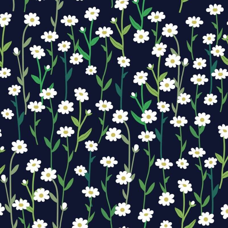 COTTON | WHAT A PRETTY DAISY (Black)