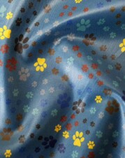 ECO-LAMINATED | MESSING AROUND (Blue)