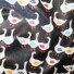 ECO-LAMINATED | DUCK'S PARTY (Black)