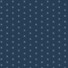 ECO-LAMINATED |  SASHICO STITCHES [NAVY]