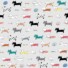 ECO-LAMINATED | FUNKY CATS (Light Grey)