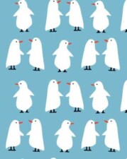 COTTON JERSEY | ALBINO PENQUIN (Sky Blue)