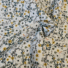 COTTON | SOUNDS LIKE SUMMER (Mint)