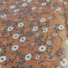 ECO-LAMINATED | PLEASURE TO BE HERE (Deep Salmon)