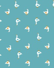 COTTON | DUCKS (Turquoise)