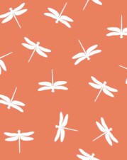 COTTON | DRAGONFLIES (Orange)