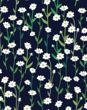 COTTON | WHAT A PRETTY DAISY (Black)