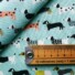 COTTON | DACHSHUNDS (Blue)