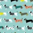 COTTON | DACHSHUNDS (Blue)