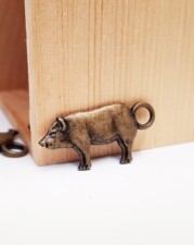 CHARM | PIG