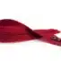 HEADLESS ZIP | 10'' DARK RED