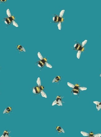 COTTON | BEE WORLD (Teal)