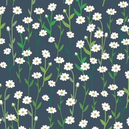 ECO-LAMINATED | WHAT A PRETTY DAISY (Dark Grey)