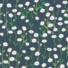 ECO-LAMINATED | WHAT A PRETTY DAISY (Dark Grey)