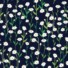 ECO-LAMINATED | WHAT A PRETTY DAISY (Dark Grey)