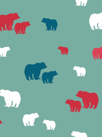 COTTON | BEARS (Turquoise)