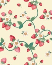 COTTON | STRAWBERRIES (Cream)