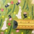 ECO-LAMINATED | RABBIT & SQUIRREL (Green)