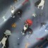 ECO-LAMINATED | RAINING HATS & DOGS (Dark Grey)