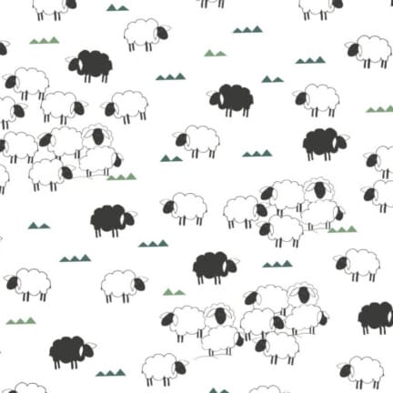 COTTON | SHEEP (White)