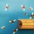 ECO-LAMINATED | BEE WORLD (Sea Foam)