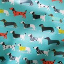 20S Reverse Side Eco-Laminated